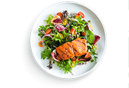 food plate illustration